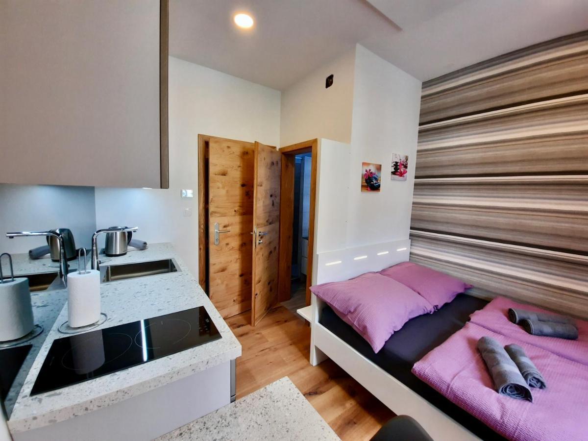 Apartment Silver ลูบลิยานา ภายนอก รูปภาพ